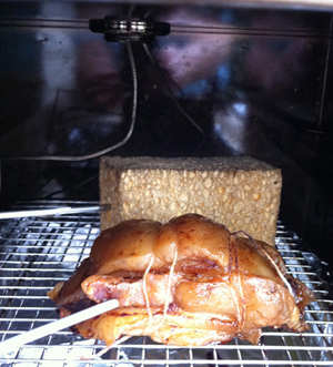 sponge and fat in smoker
